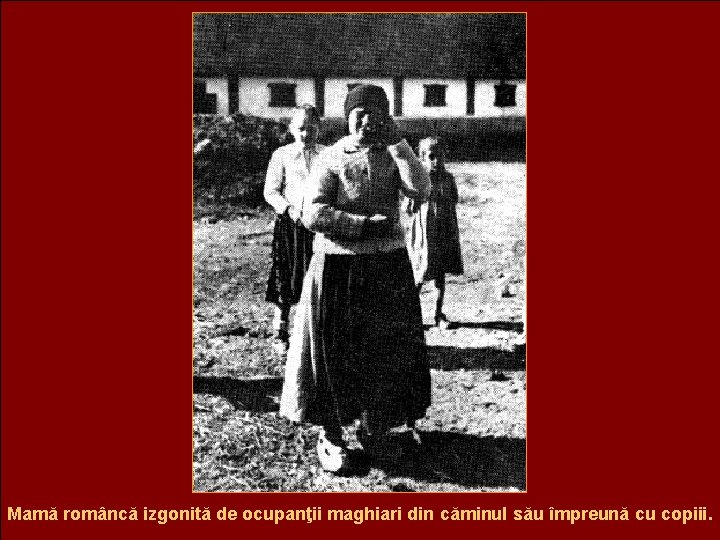Mamă româncă izgonită de ocupanţii maghiari din căminul său împreună cu copiii. 