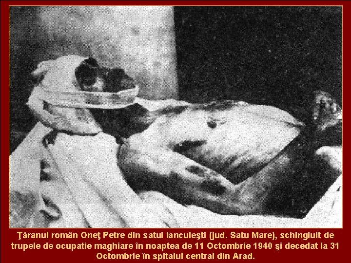 Ţăranul român Oneţ Petre din satul Ianculeşti (jud. Satu Mare), schingiuit de trupele de
