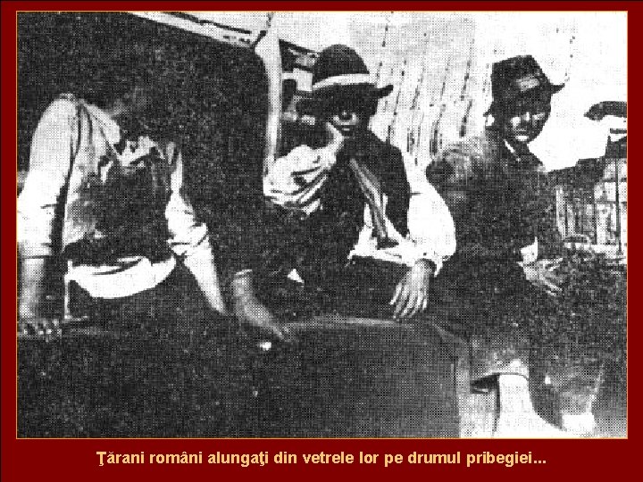 Ţărani români alungaţi din vetrele lor pe drumul pribegiei. . . 