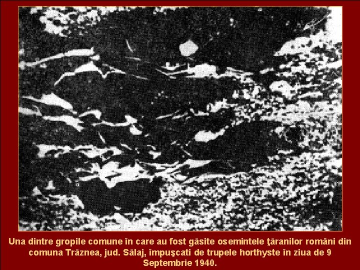 Una dintre gropile comune în care au fost găsite osemintele ţăranilor români din comuna