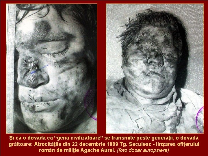 Şi ca o dovadă că “gena civilizatoare” se transmite peste generaţii, o dovadă grăitoare: