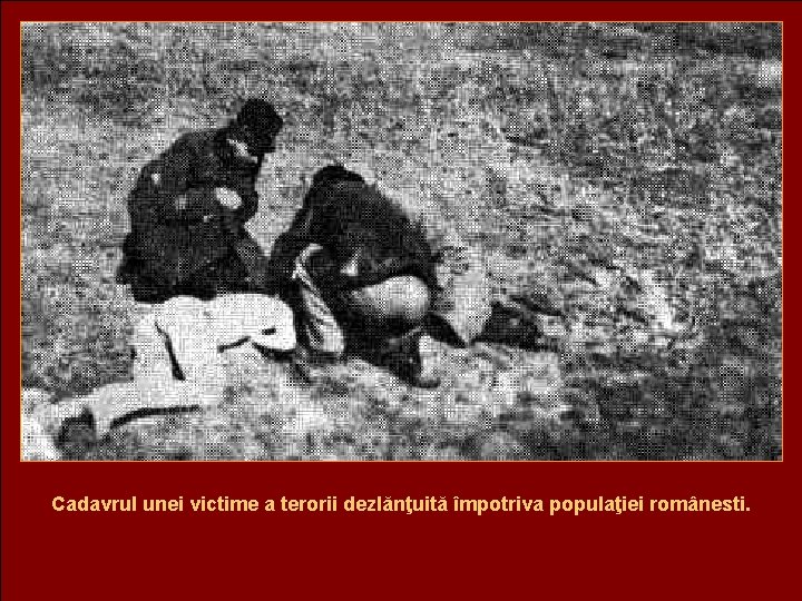Cadavrul unei victime a terorii dezlănţuită împotriva populaţiei românesti. 