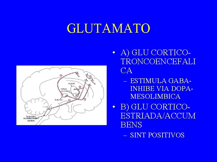GLUTAMATO • A) GLU CORTICOTRONCOENCEFALI CA – ESTIMULA GABAINHIBE VIA DOPAMESOLIMBICA • B) GLU