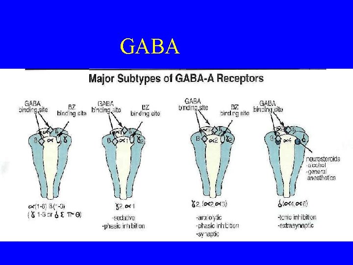 GABA 