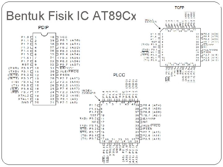 Bentuk Fisik IC AT 89 Cxx 