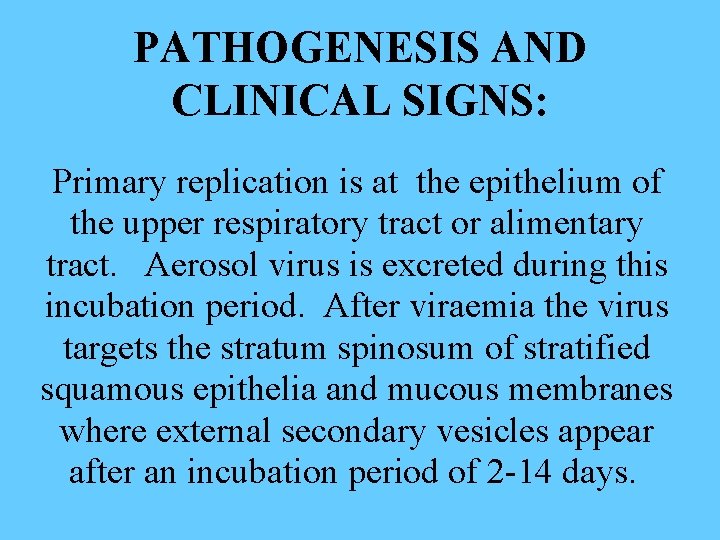 PATHOGENESIS AND CLINICAL SIGNS: Primary replication is at the epithelium of the upper respiratory