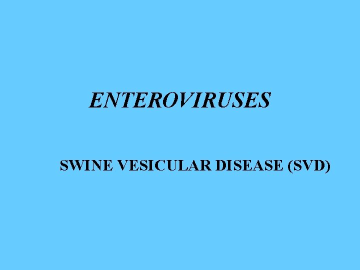 ENTEROVIRUSES SWINE VESICULAR DISEASE (SVD) 