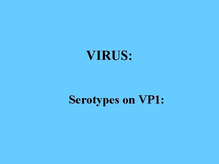 VIRUS: Serotypes on VP 1: 