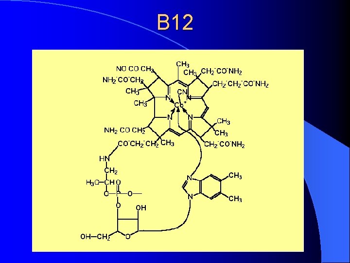 B 12 
