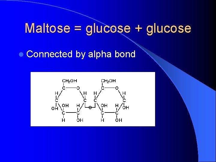 Maltose = glucose + glucose l Connected by alpha bond 