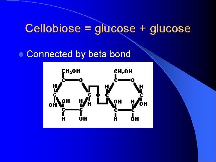Cellobiose = glucose + glucose l Connected by beta bond 