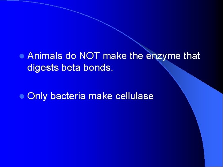 l Animals do NOT make the enzyme that digests beta bonds. l Only bacteria