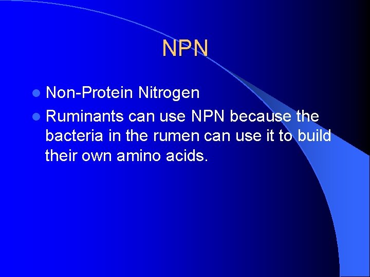 NPN l Non-Protein Nitrogen l Ruminants can use NPN because the bacteria in the