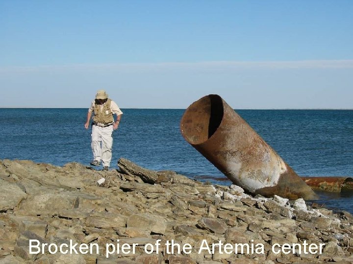 Brocken pier of the Artemia center 