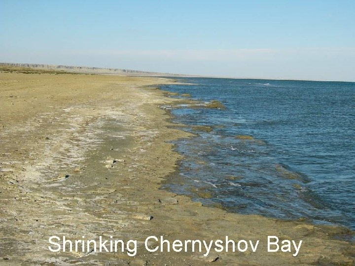 Shrinking Chernyshov Bay 