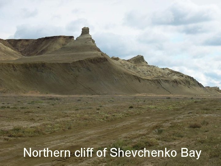 Northern cliff of Shevchenko Bay Northern cliff of Shevchenko Bay