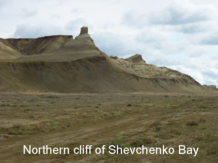 Northern cliff of Shevchenko Bay 