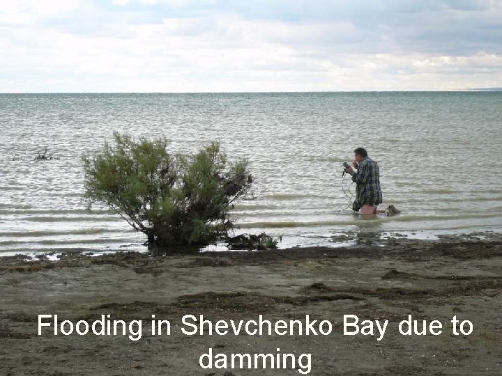 Flooding in Shevchenko Bay due to damming Flooding in Shevchenko Bay due to damming