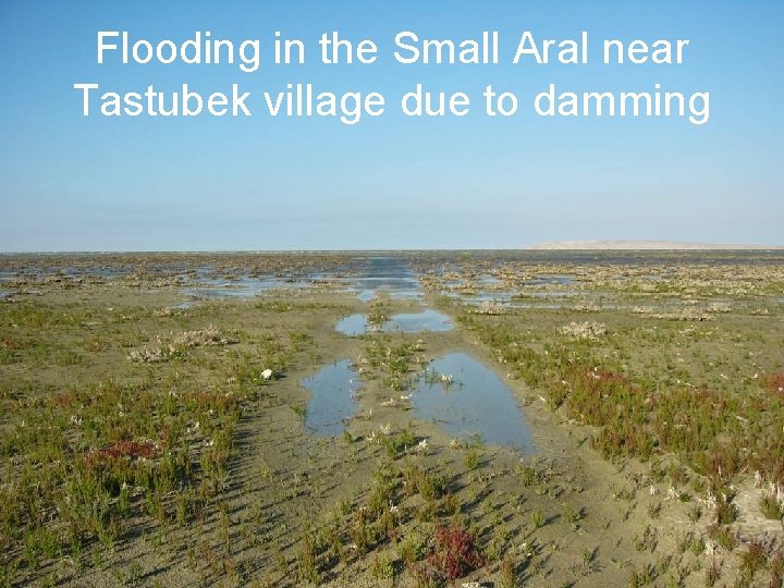Flooding in the Small Aral near Tastubek village due to damming 