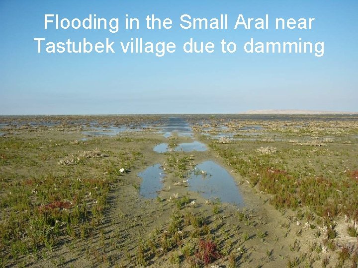 Flooding in the Small Aral near Tastubek village due to damming Flooding in the Small Aral near Tastubek village due to damming