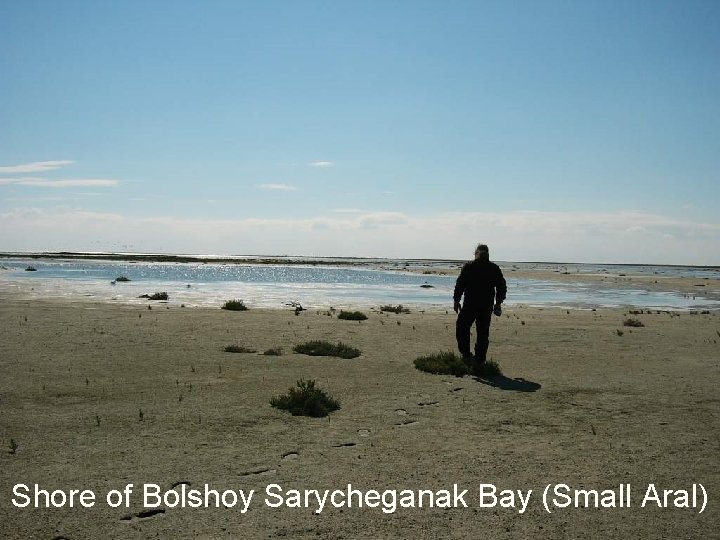 Shore of Bolshoy Sarycheganak Bay (Small Aral) 