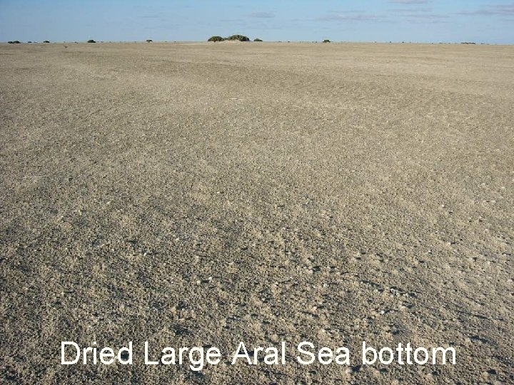 Dried Large Aral Sea bottom 