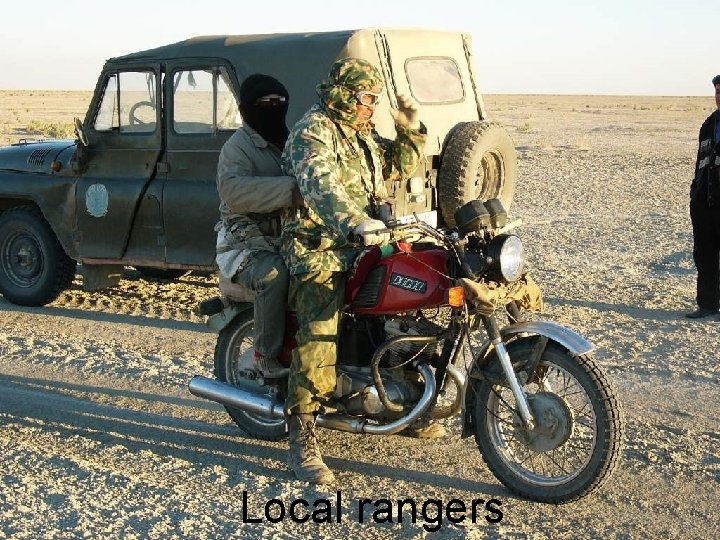 Local rangers 