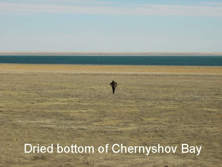 Dried bottom of Chernyshov Bay 