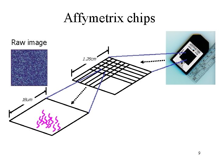 Affymetrix chips Raw image 1. 28 cm 18 um 9 