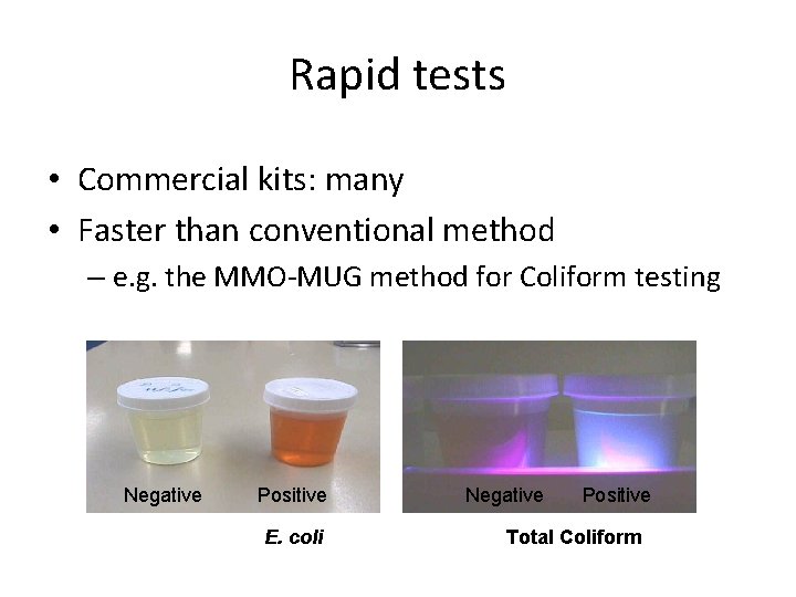 Rapid tests • Commercial kits: many • Faster than conventional method – e. g.
