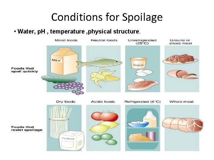 Conditions for Spoilage • Water, p. H , temperature , physical structure. Water •