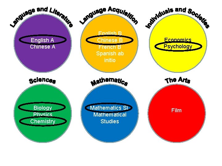 English A Chinese A Biology Physics Chemistry English B Chinese B French B Spanish