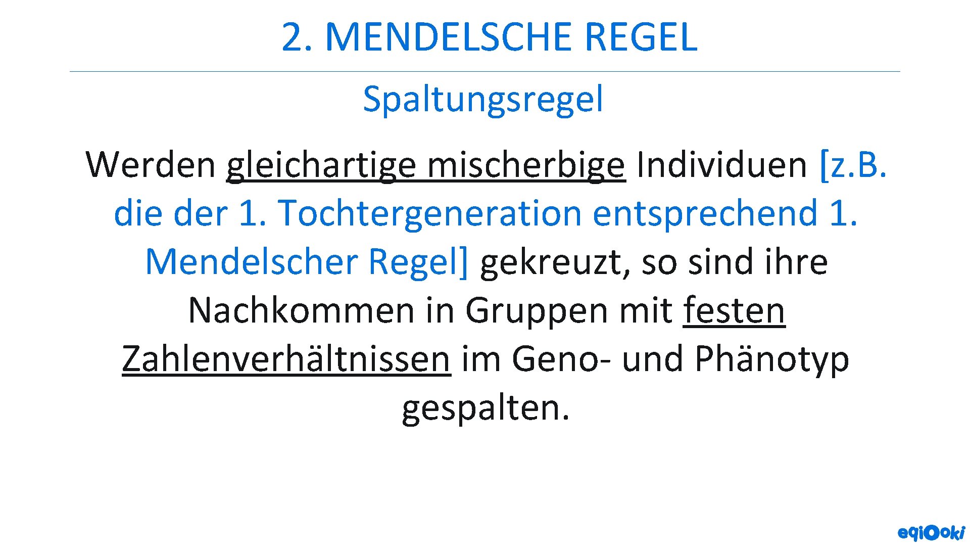 2. MENDELSCHE REGEL Spaltungsregel Werden gleichartige mischerbige Individuen [z. B. die der 1. Tochtergeneration