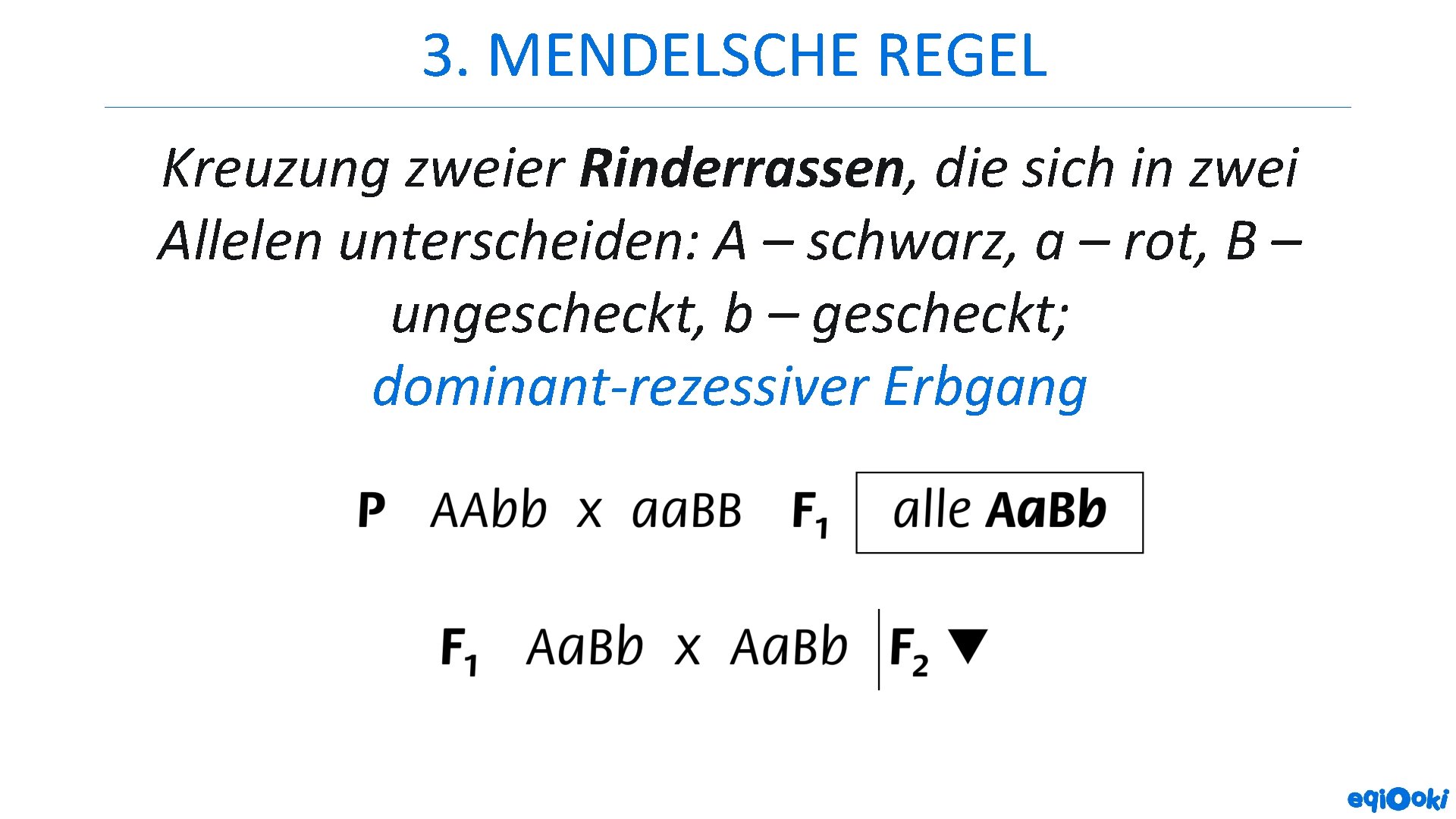 3. MENDELSCHE REGEL Kreuzung zweier Rinderrassen, die sich in zwei Allelen unterscheiden: A –