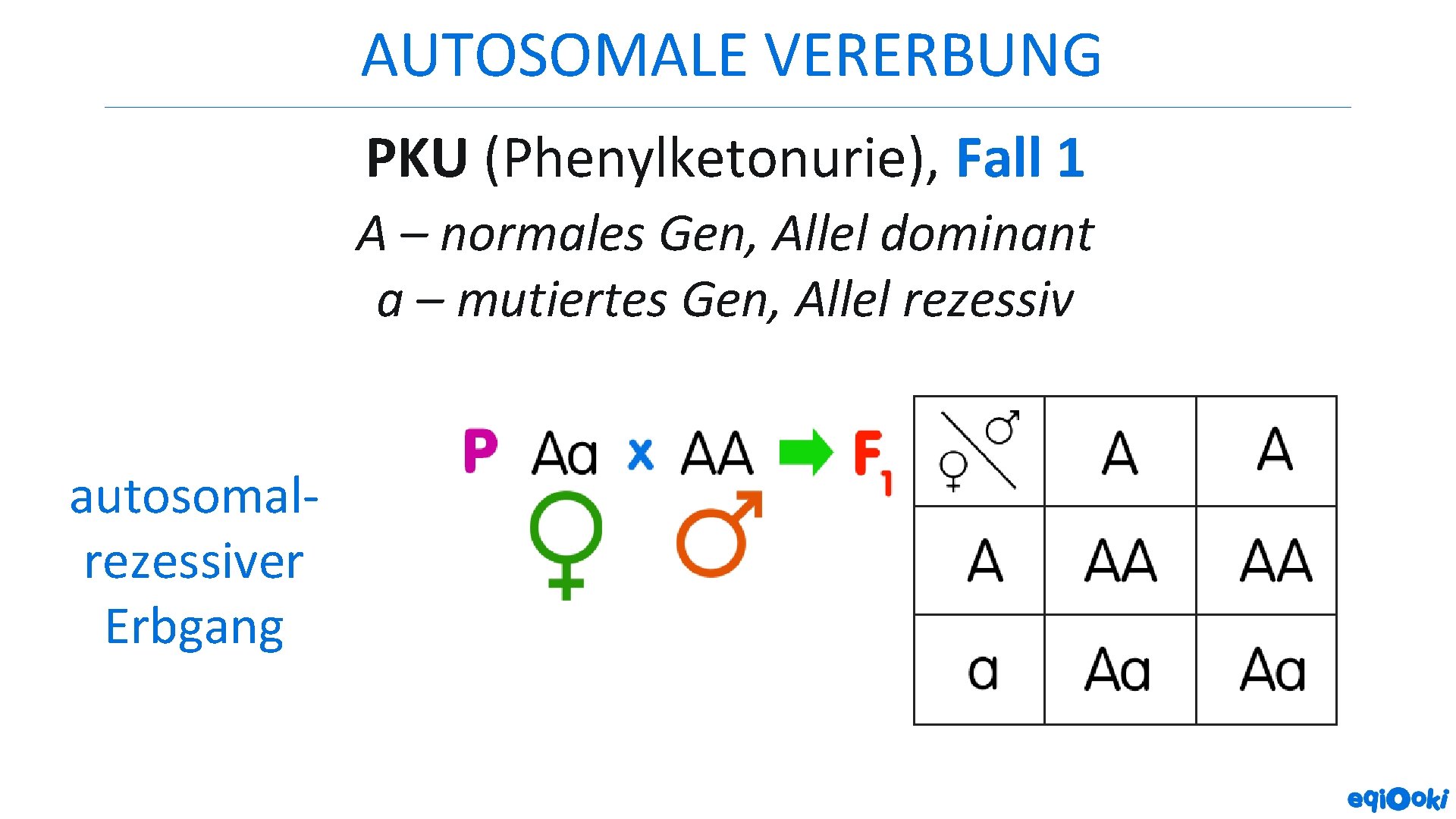 AUTOSOMALE VERERBUNG PKU (Phenylketonurie), Fall 1 A – normales Gen, Allel dominant a –