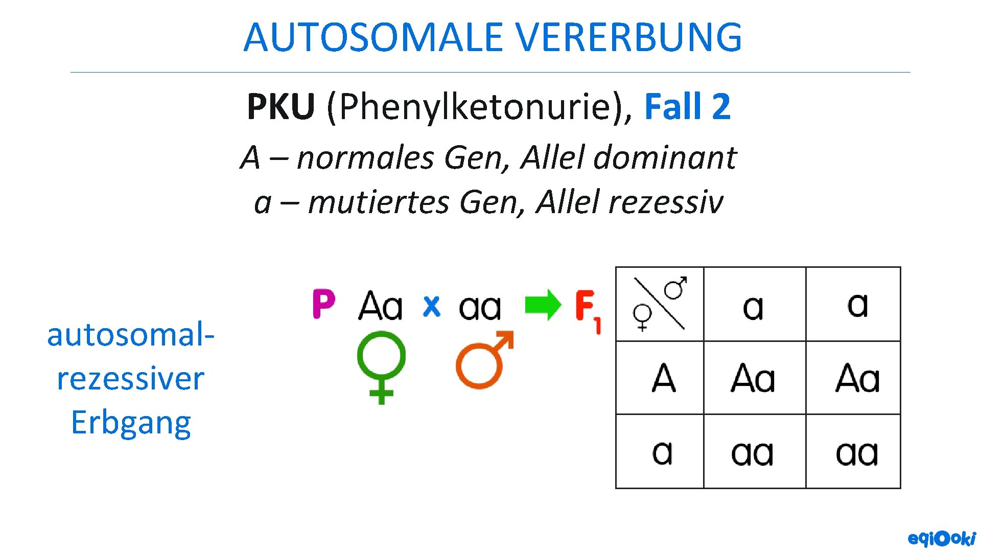 AUTOSOMALE VERERBUNG PKU (Phenylketonurie), Fall 2 A – normales Gen, Allel dominant a –