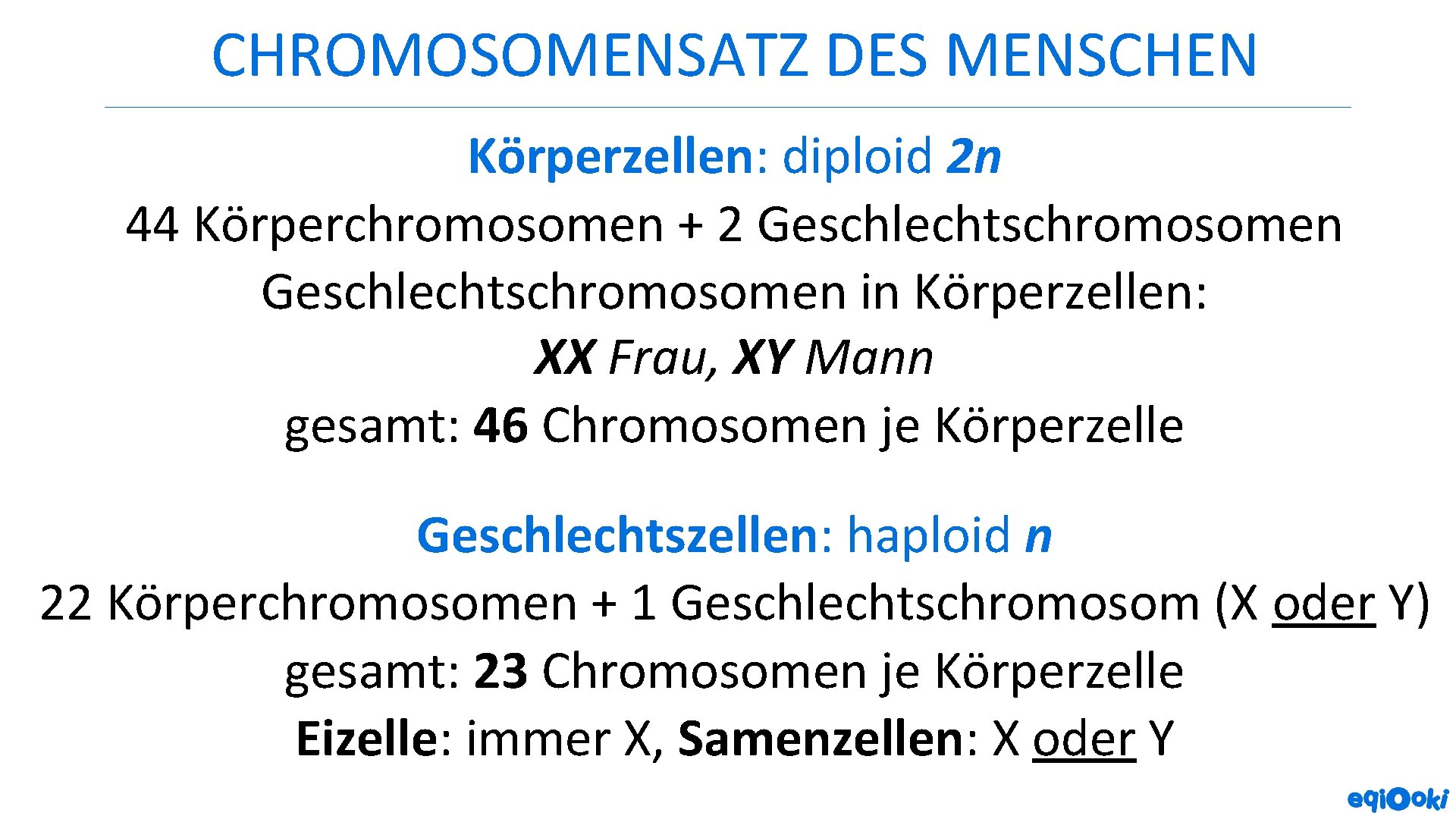 CHROMOSOMENSATZ DES MENSCHEN Körperzellen: diploid 2 n 44 Körperchromosomen + 2 Geschlechtschromosomen in Körperzellen: