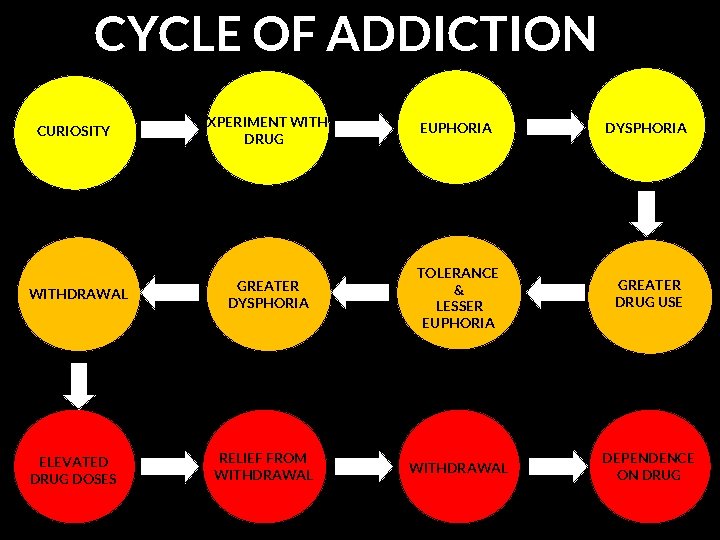 CYCLE OF ADDICTION CURIOSITY WITHDRAWAL ELEVATED DRUG DOSES EXPERIMENT WITH DRUG GREATER DYSPHORIA RELIEF