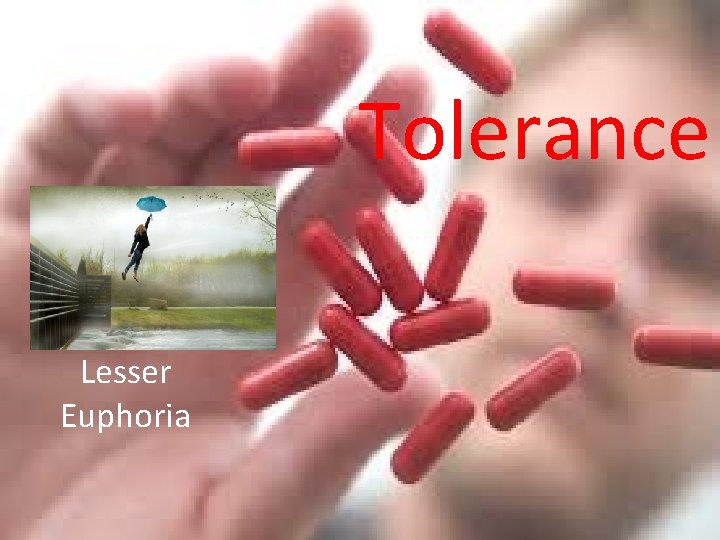 Tolerance Lesser Euphoria 