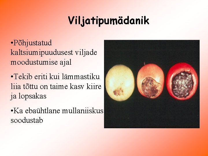 Viljatipumädanik • Põhjustatud kaltsiumipuudusest viljade moodustumise ajal • Tekib eriti kui lämmastiku liia tõttu