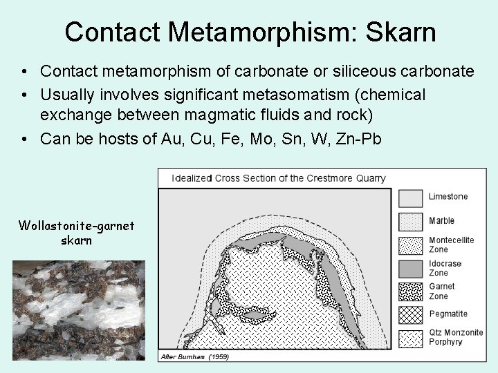 Contact Metamorphism: Skarn • Contact metamorphism of carbonate or siliceous carbonate • Usually involves