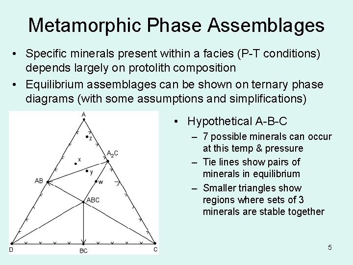 Metamorphic Phase Assemblages • Specific minerals present within a facies (P-T conditions) depends largely