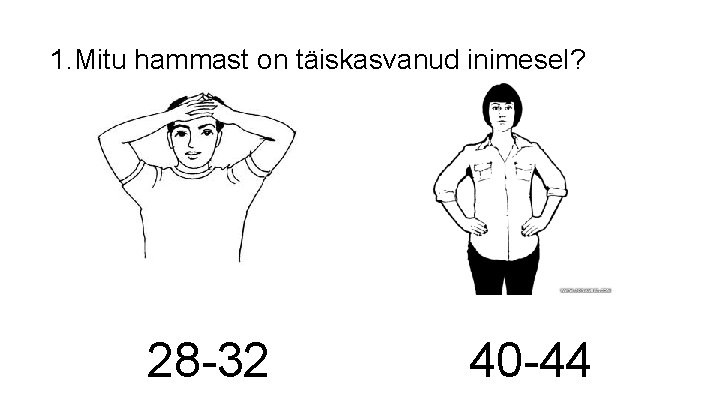 1. Mitu hammast on täiskasvanud inimesel? 28 -32 40 -44 