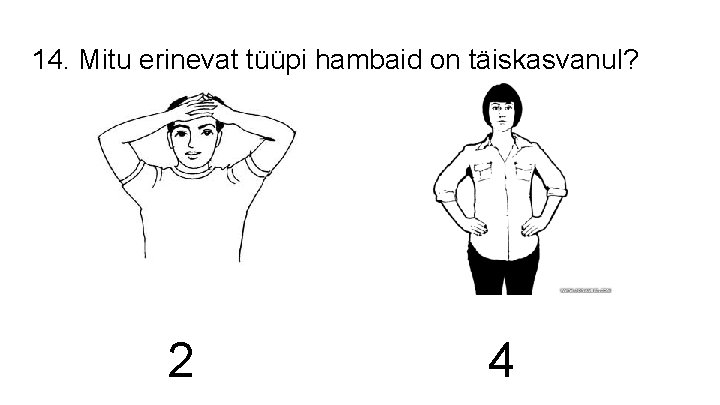 14. Mitu erinevat tüüpi hambaid on täiskasvanul? 2 4 