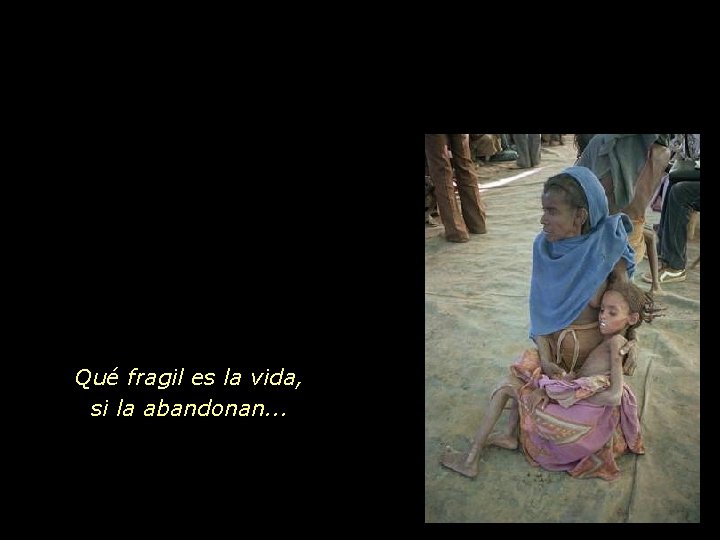 Qué fragil es la vida, si la abandonan. . . 