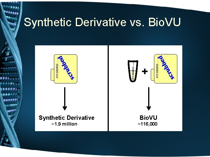 Synthetic Derivative ~1. 9 million Bio. VU ~116, 000 ru c s ed b