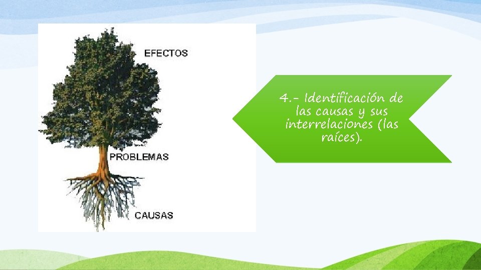 4. - Identificación de las causas y sus interrelaciones (las raíces). 
