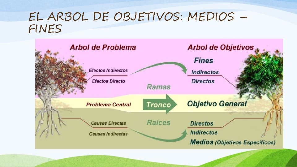 EL ARBOL DE OBJETIVOS: MEDIOS – FINES 