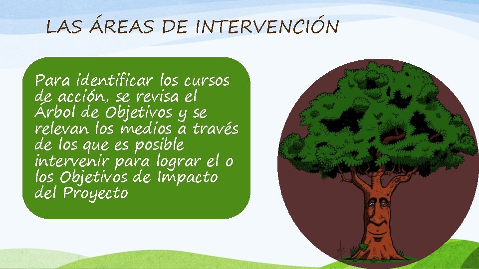 LAS ÁREAS DE INTERVENCIÓN Para identificar los cursos de acción, se revisa el Árbol