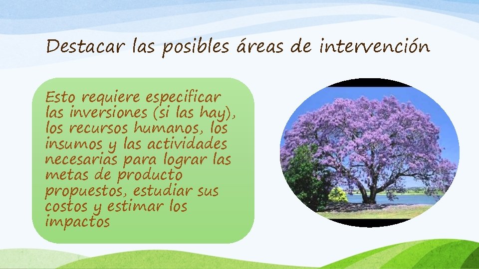 Destacar las posibles áreas de intervención Esto requiere especificar las inversiones (si las hay),